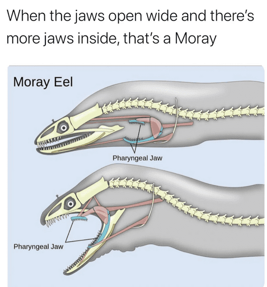 1664384293300.png