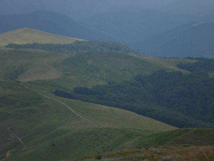 16A10800x600.jpg