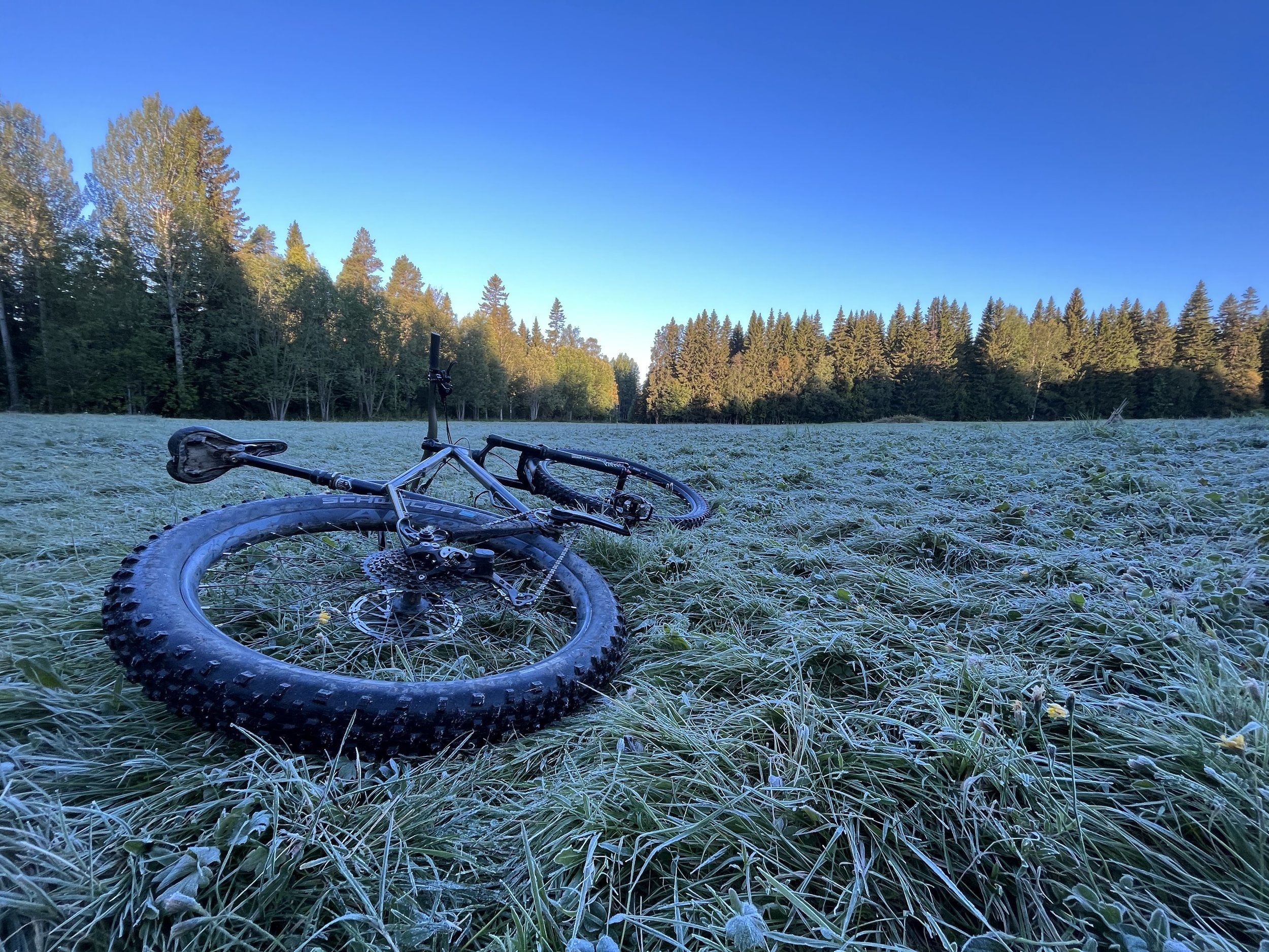 16CA9944-438E-458D-9E2B-280345433F49.jpeg