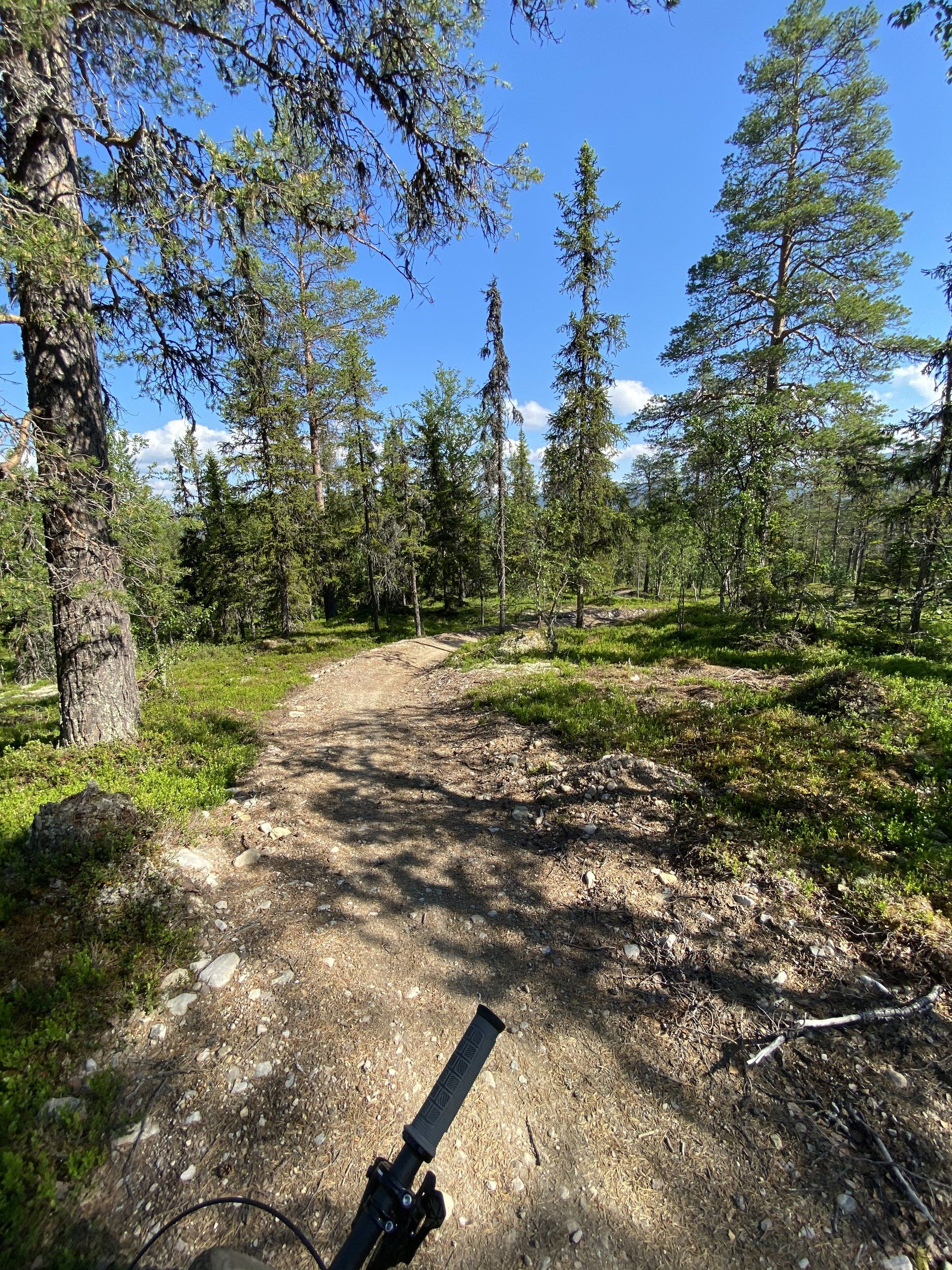 170093D7-9643-423A-85FD-C921256F624F.jpeg