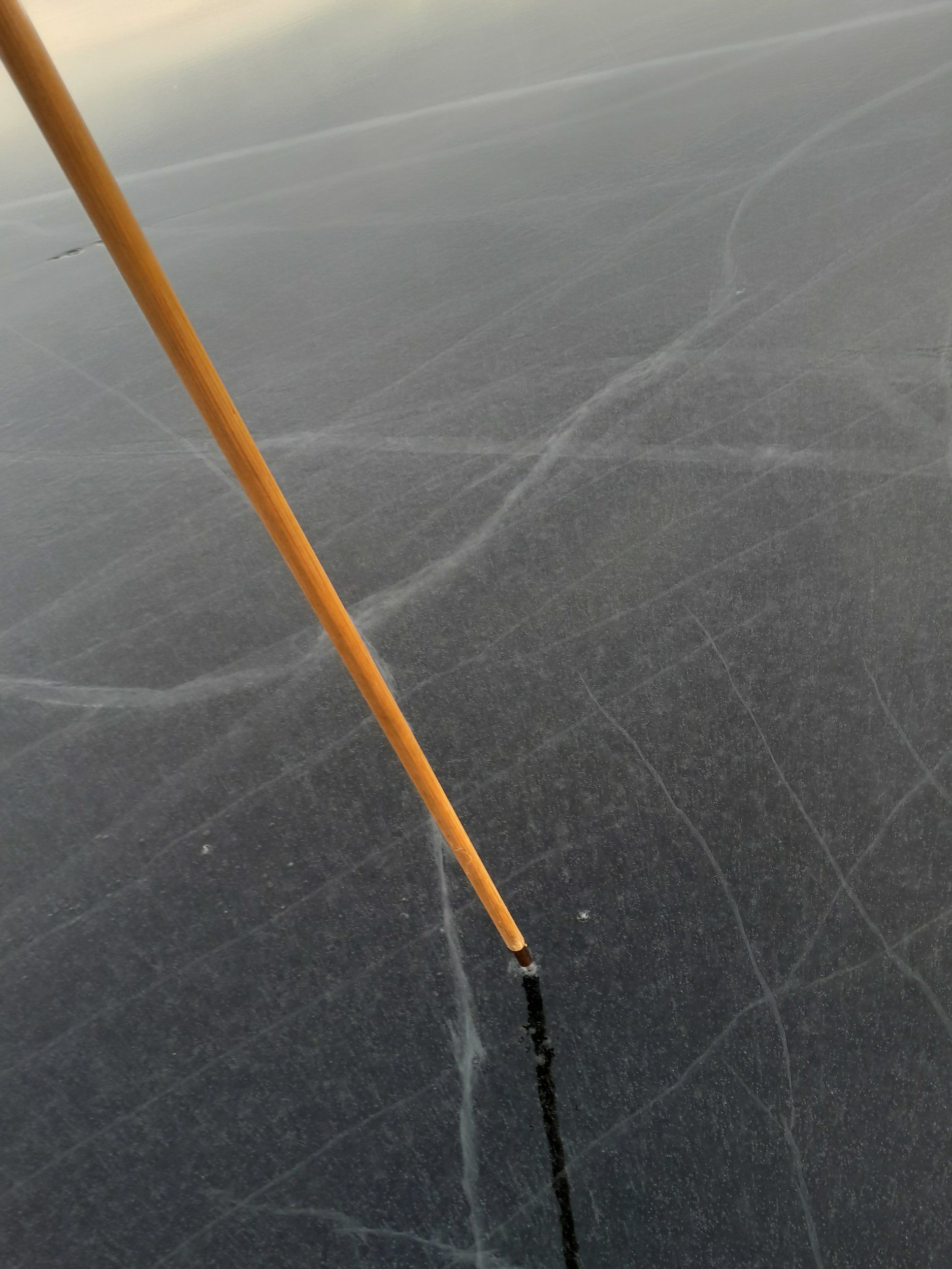1706450755209.jpg