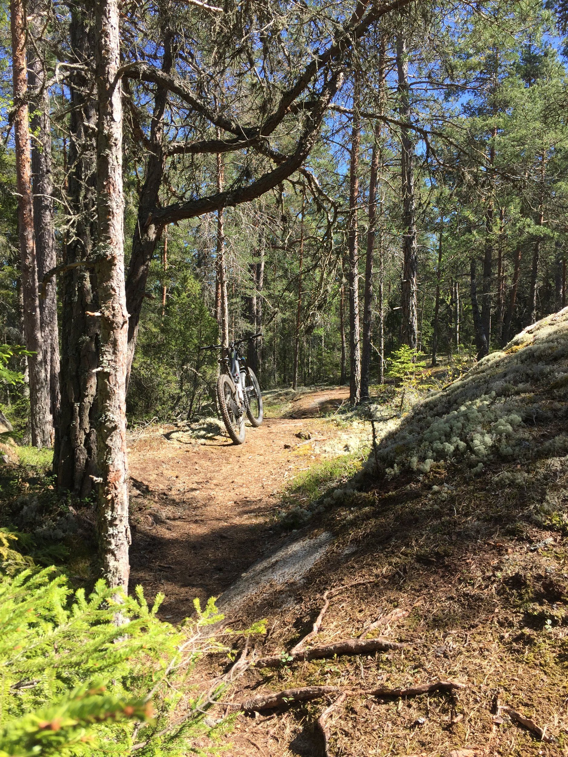 170F6873-93CA-4213-8638-2E340027BD43.jpeg