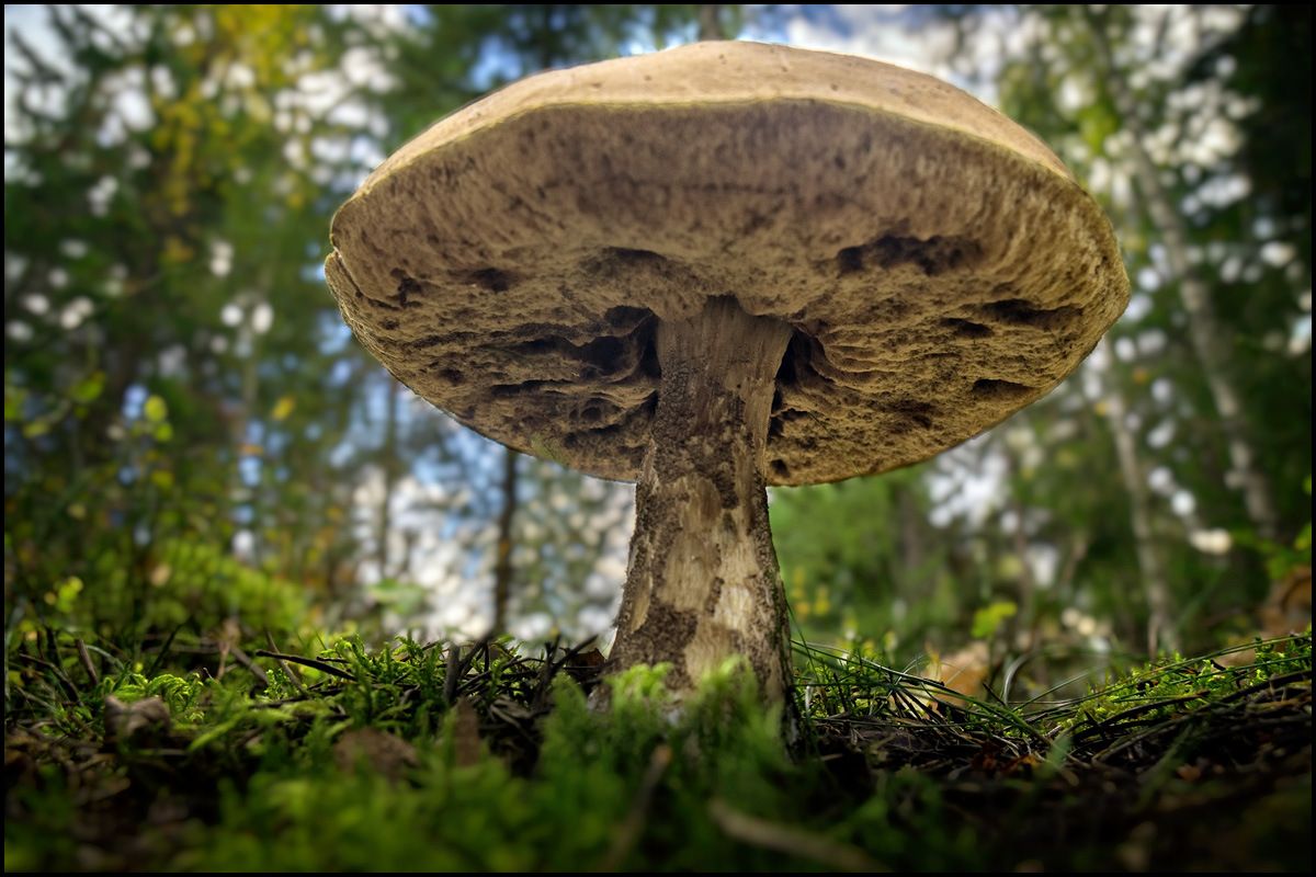 171001_DSC02436.jpg