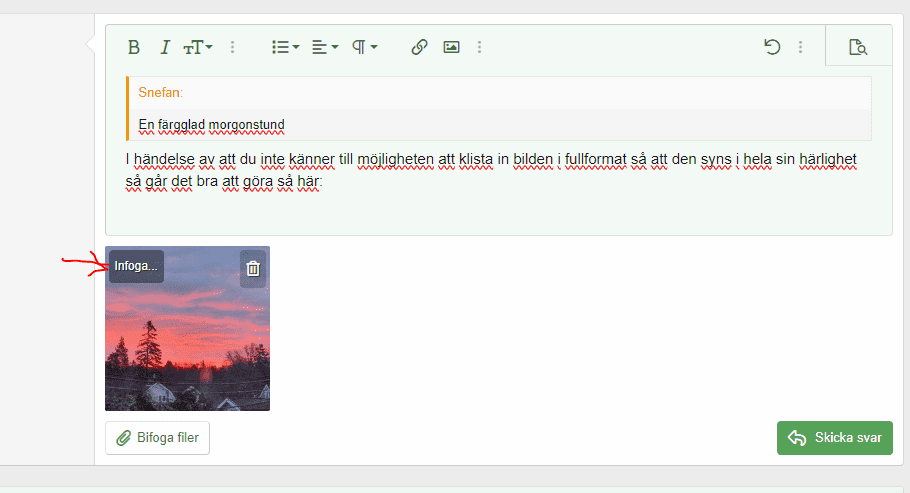 1711368537626.png