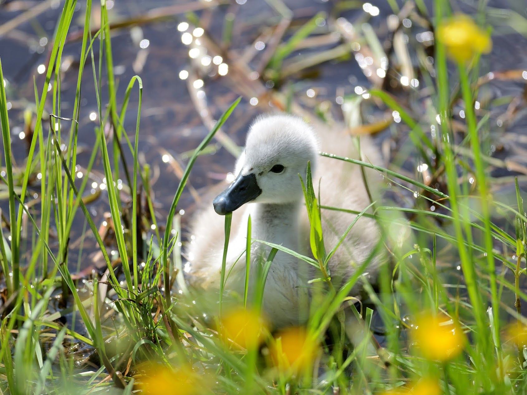 1711544563533.jpeg