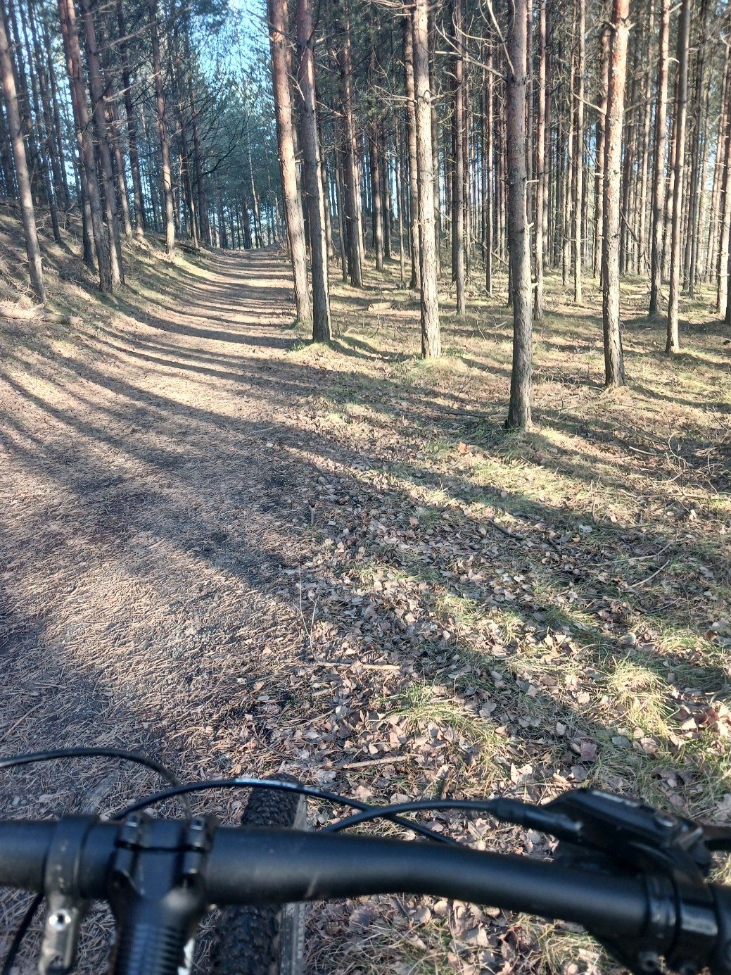 1711730516280.jpeg