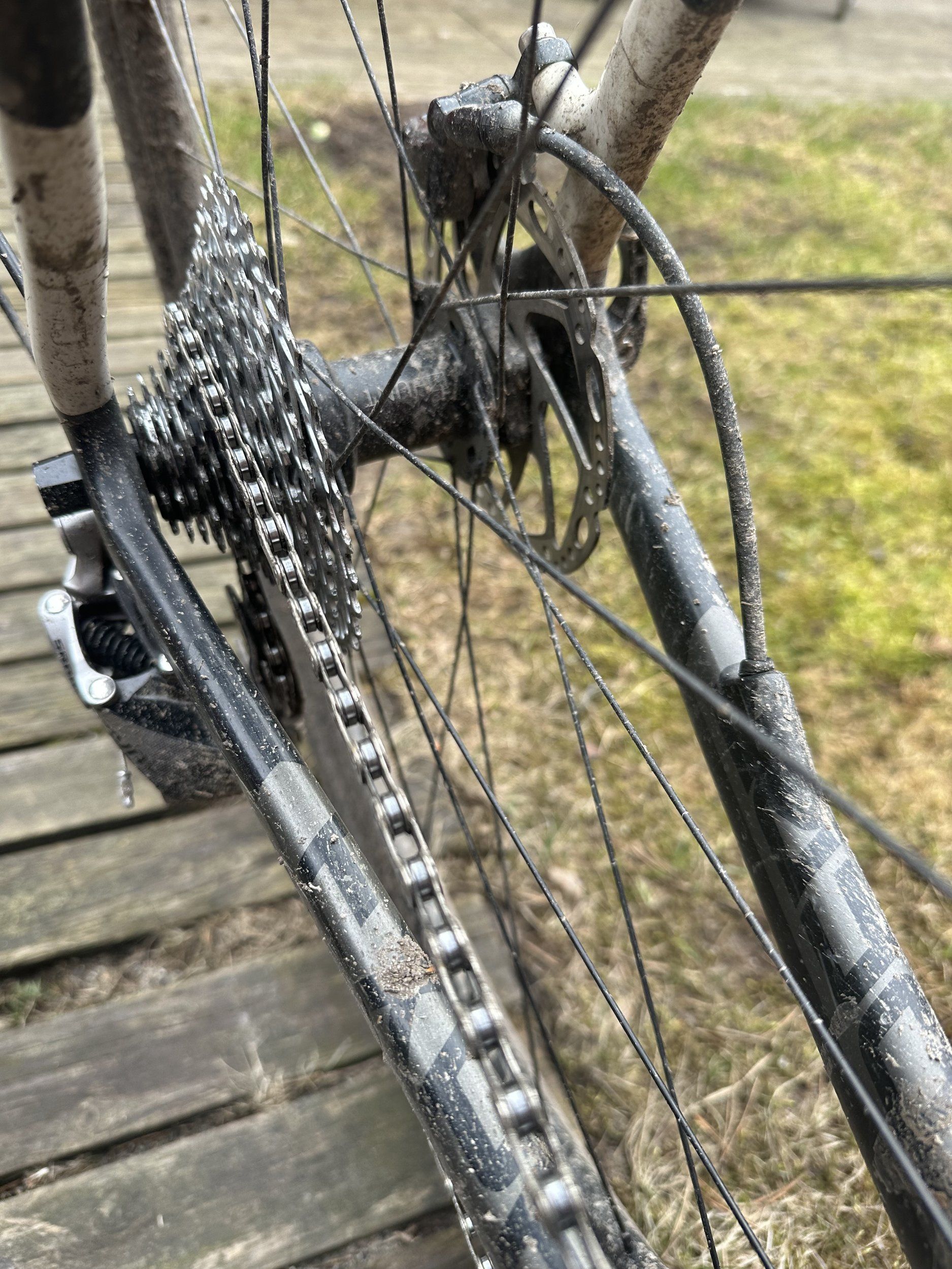 1712043407434.jpeg
