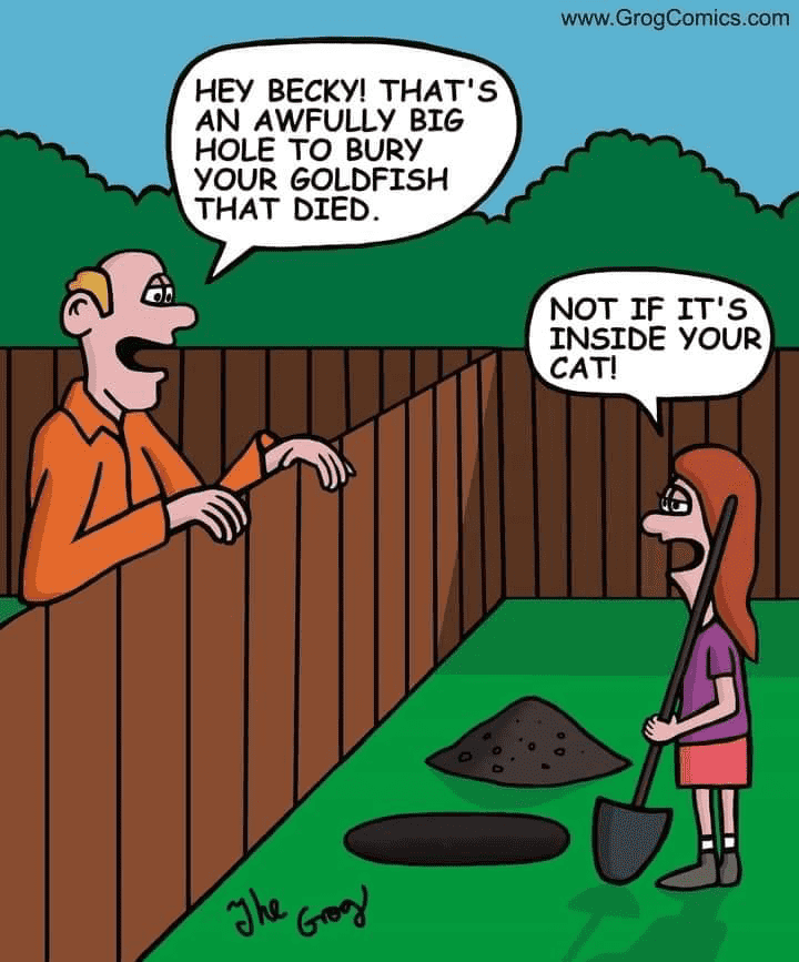 1714110576101.png