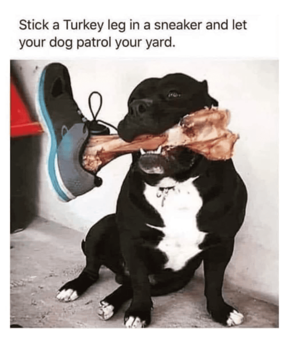 1719734968236.png