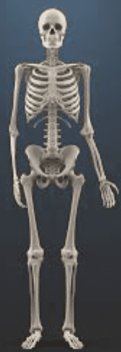 1723829698336.png