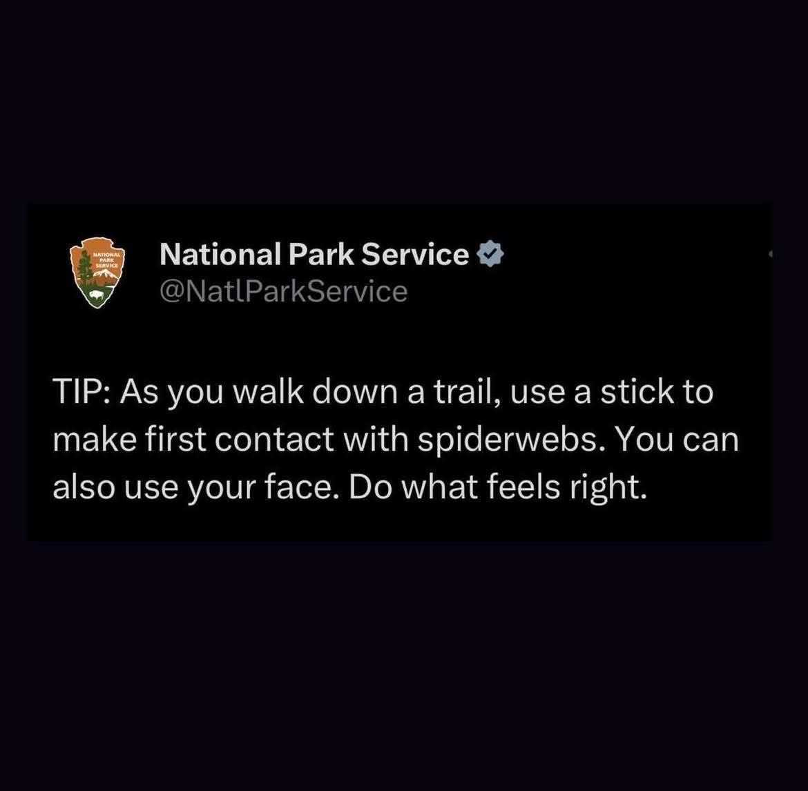 1735584316303.png