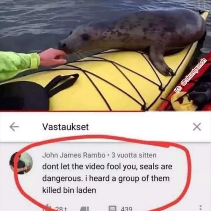 1736925749377.png