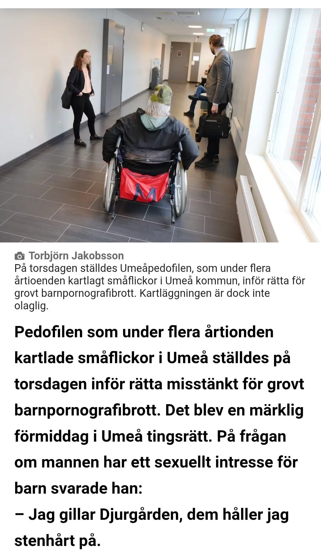 1741168144743.webp