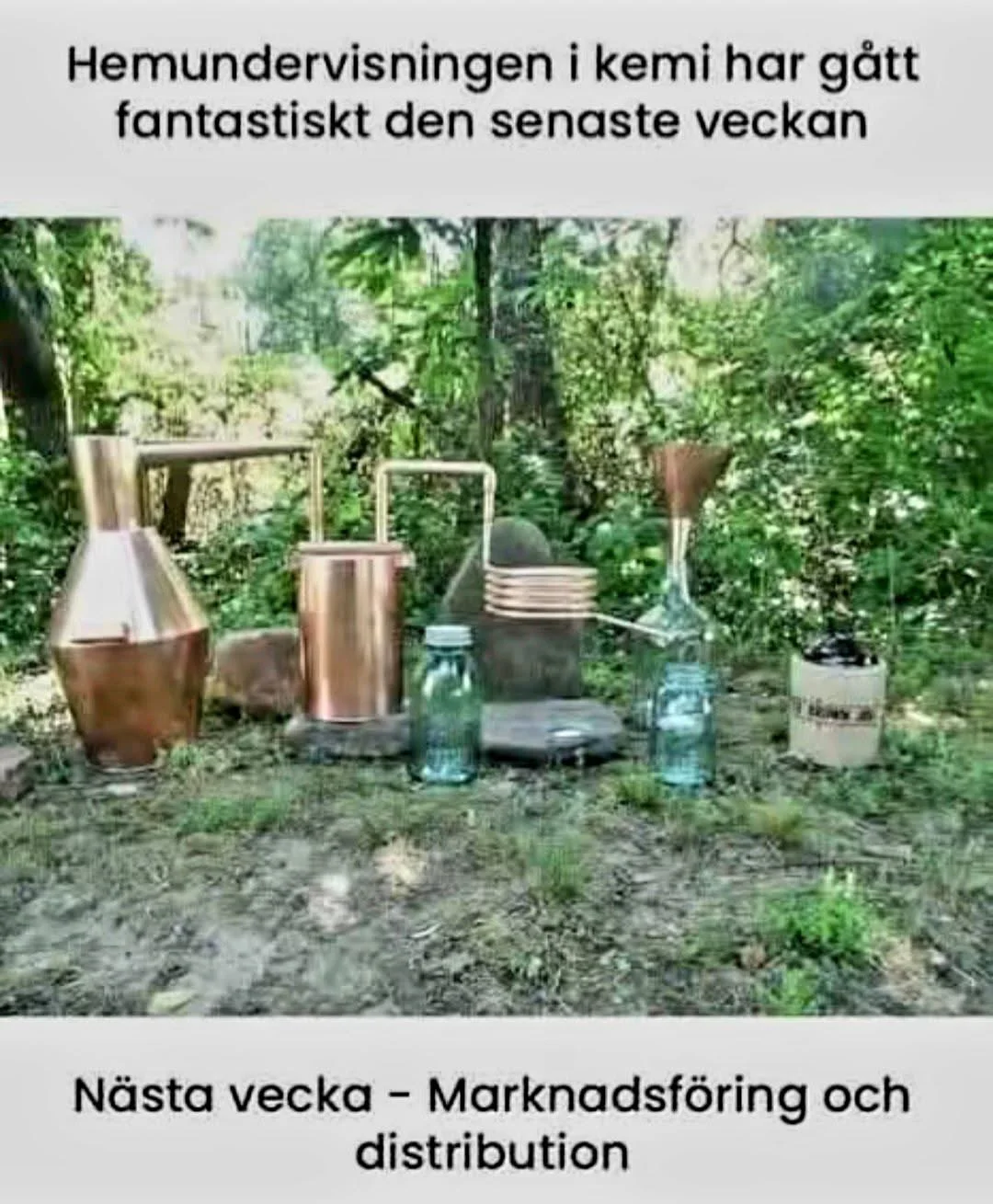 1753983018402.webp