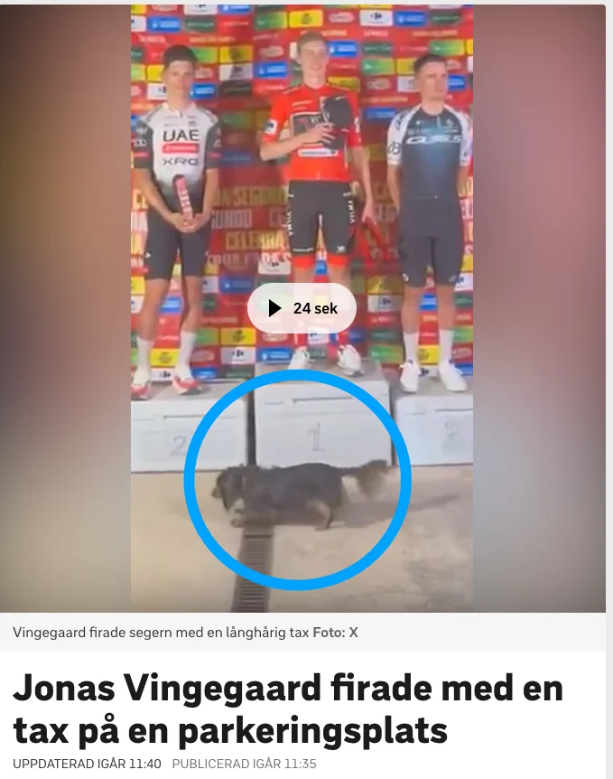 1758016620184.webp