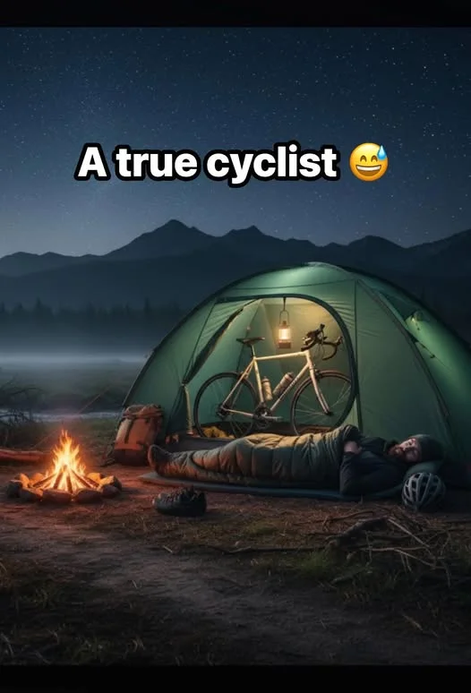 1763561908599.webp