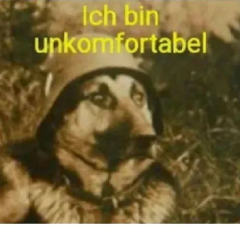 1771661905482.webp
