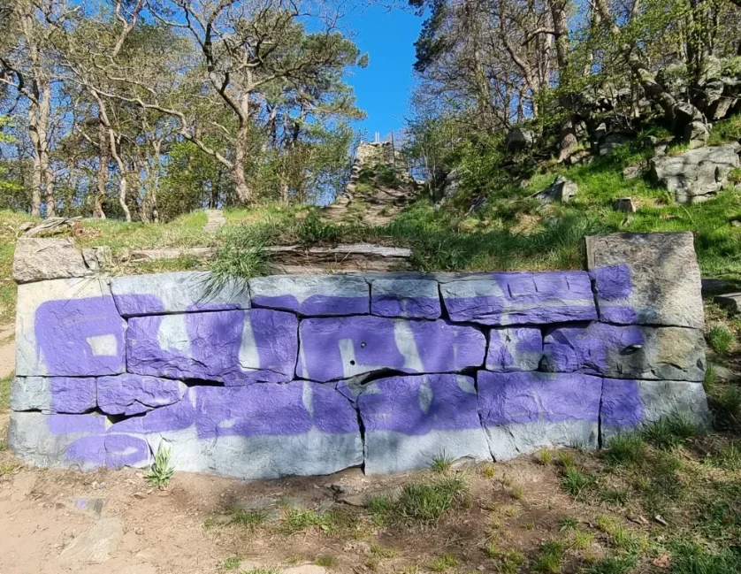 1771853374736.webp