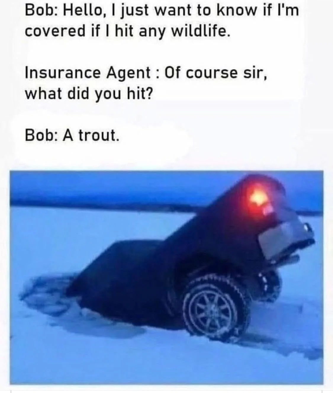 1778489708573.webp