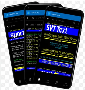 1780999987164.webp