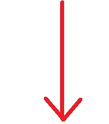 1786048472148.webp