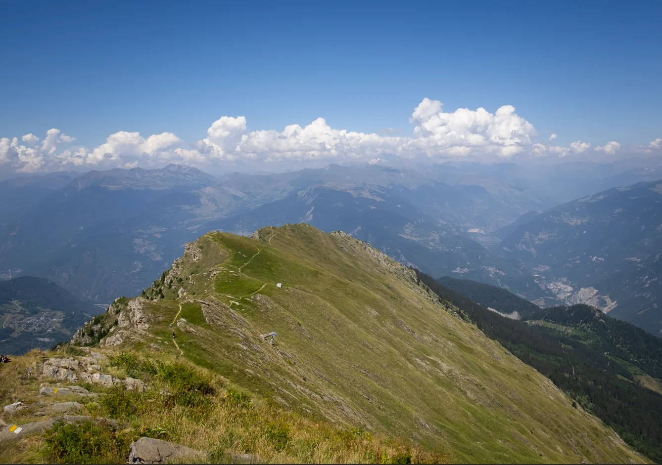 1786444742125.webp