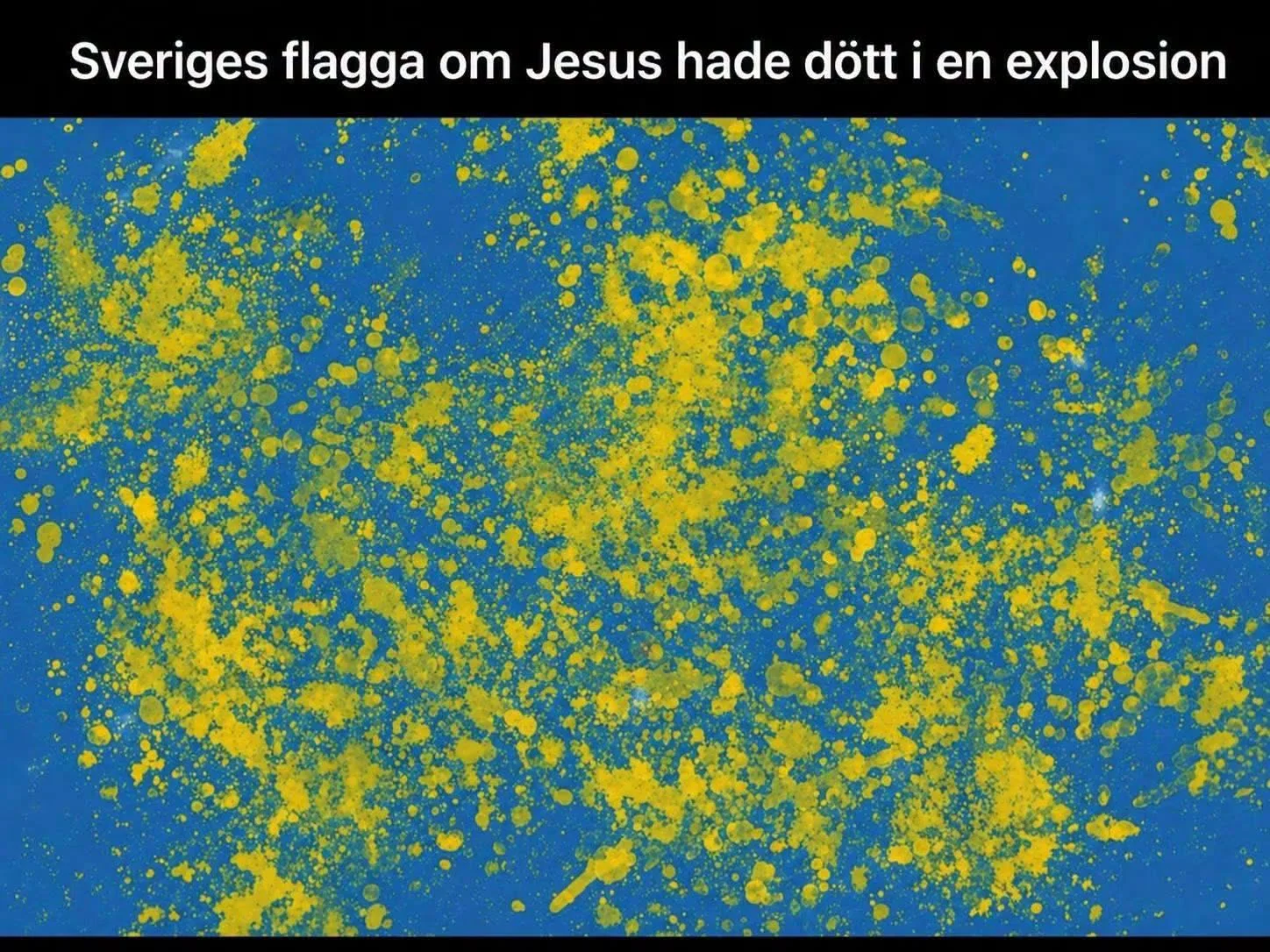 1786446467107.webp