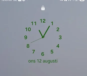 1786525857903.webp