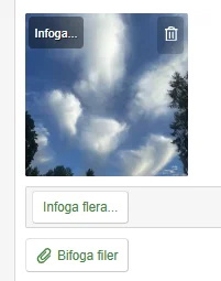 1788164299481.webp