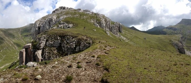 18D06800x346.jpg
