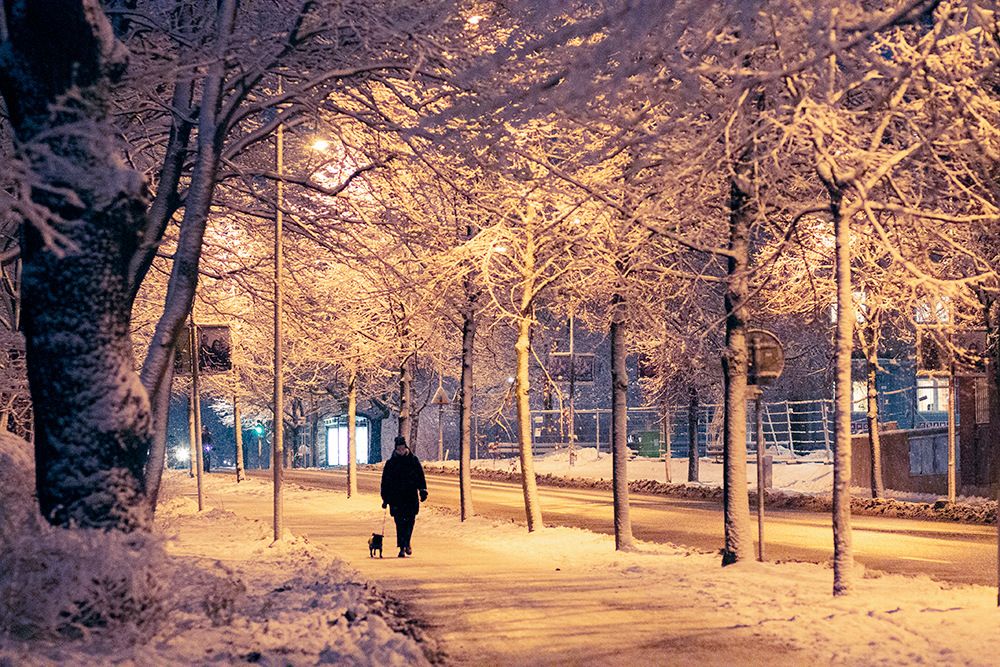 18dec3.jpg