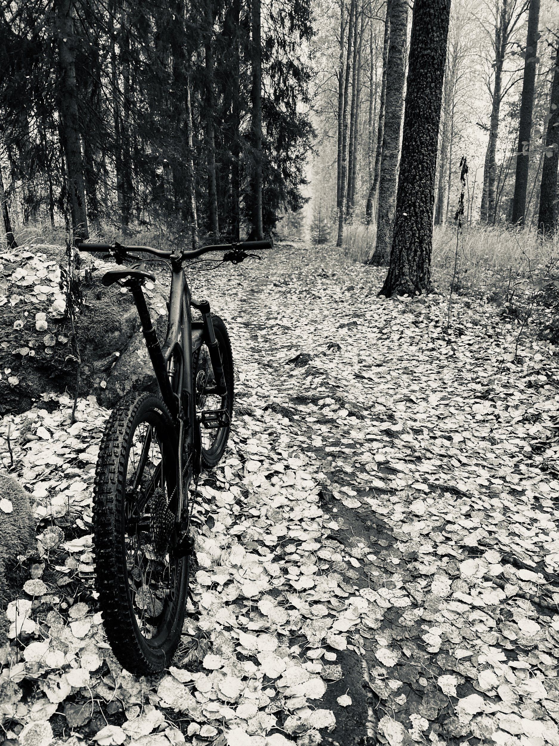 18F3E465-42B4-4F59-A815-4411D39905E5.jpeg