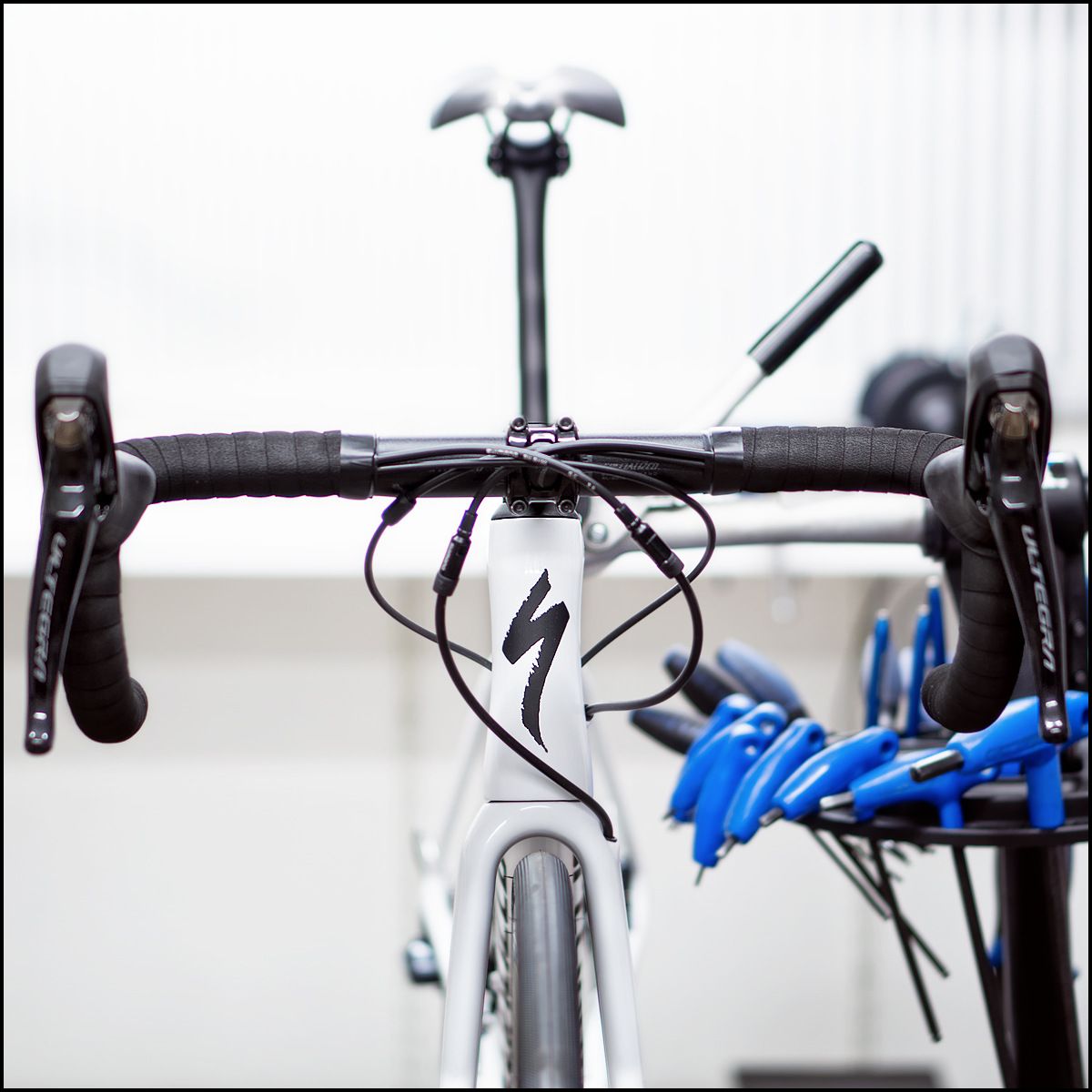 190221_SpecializedTarmacDiscExpert2019_DSC00772.jpg