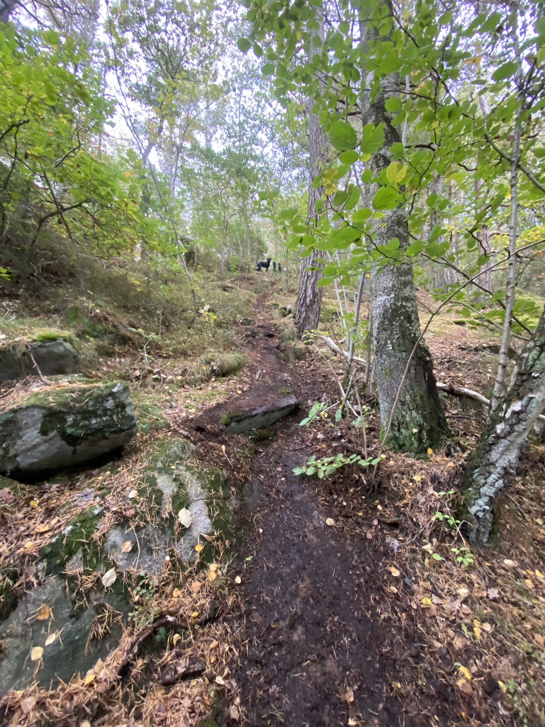 19670287-AC4A-4B9D-A690-000FD06DD3BB.jpeg
