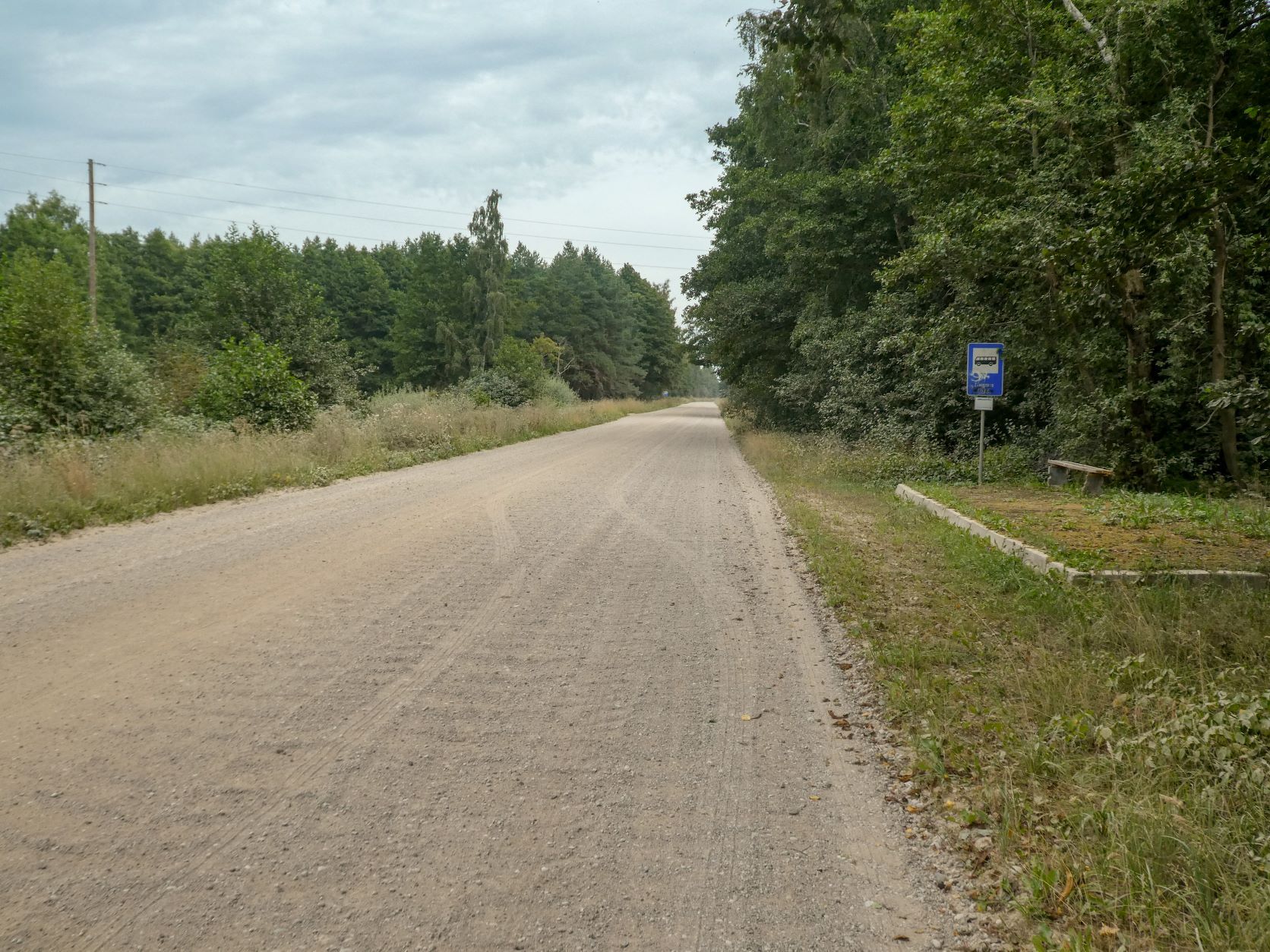 1P1250197a.jpg