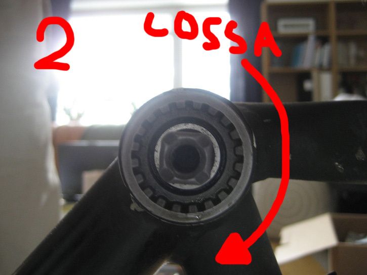 2.jpg ht=544