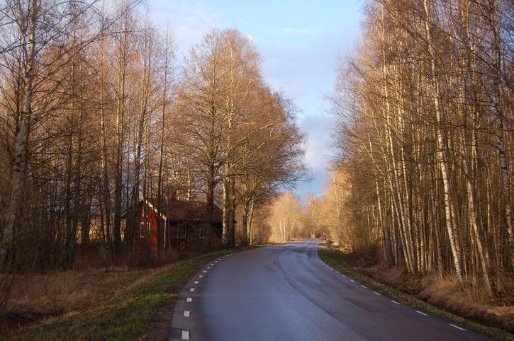 2.jpg ht=482