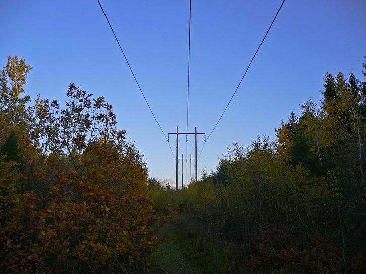 2.jpg ht=544