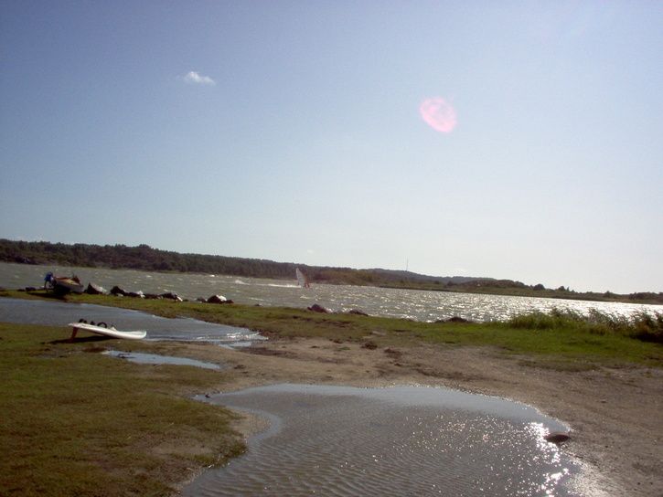 20023.jpg ht=544