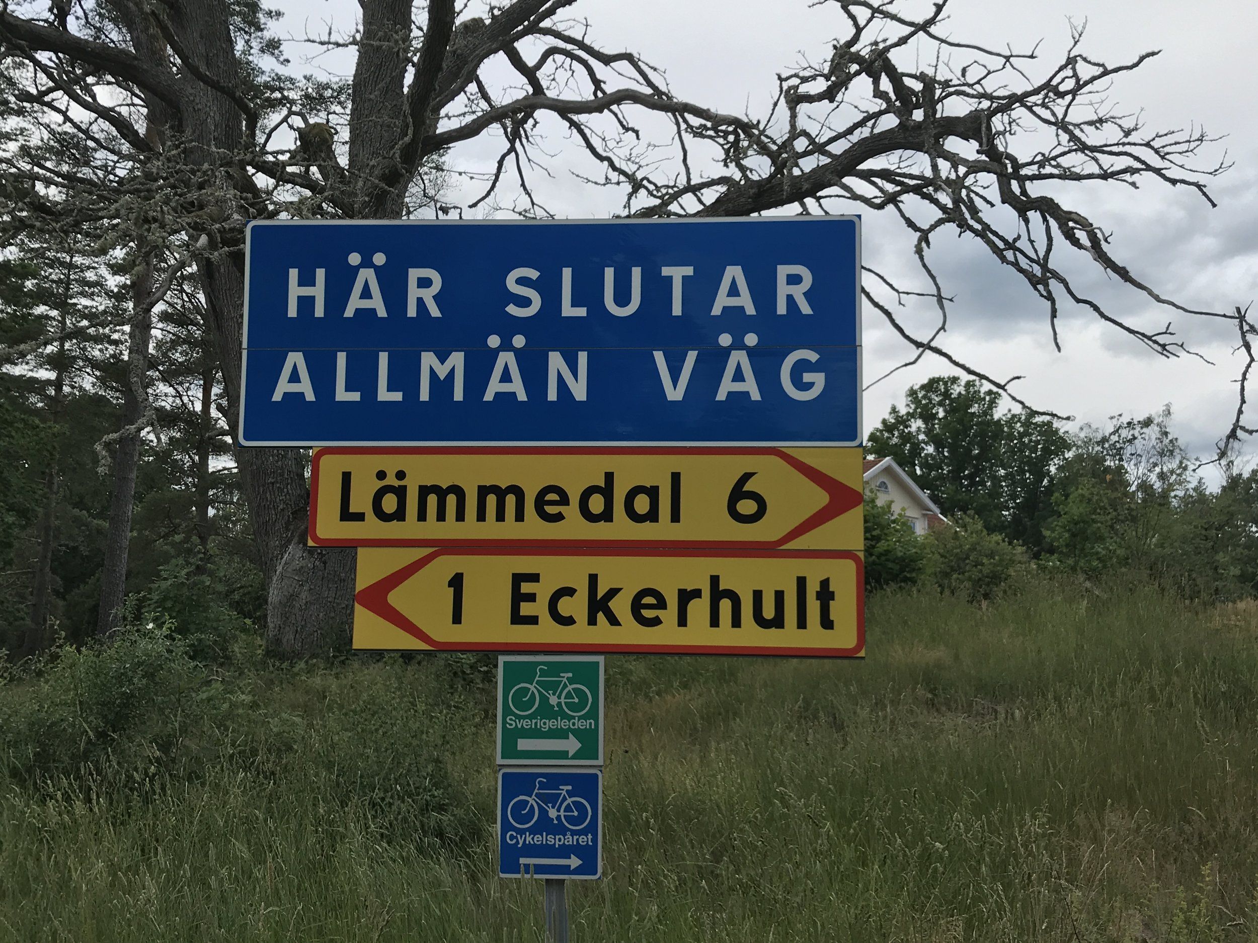20-07-03 14-55-43 0781.jpg