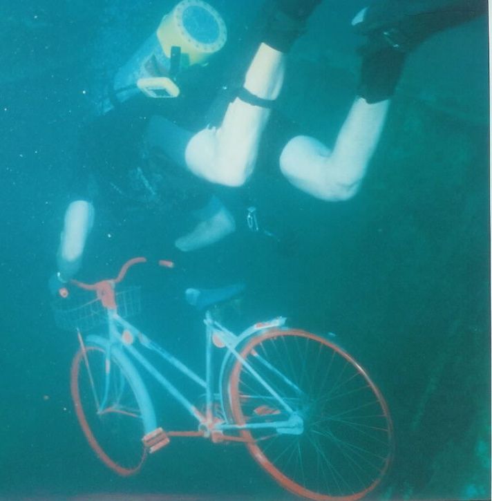 20003.jpg ht=725