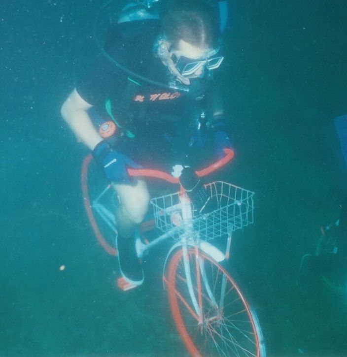 20006.jpg ht=725