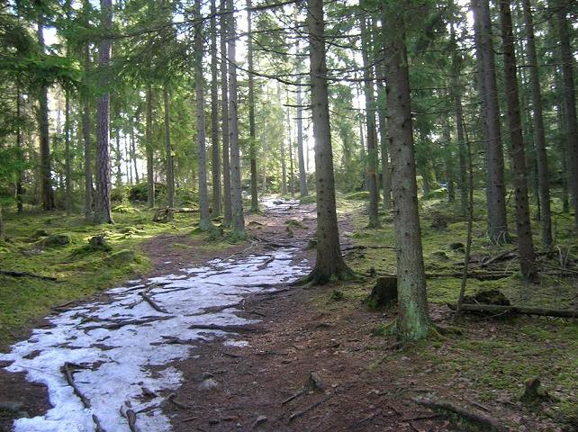 2006-04-15022.jpg