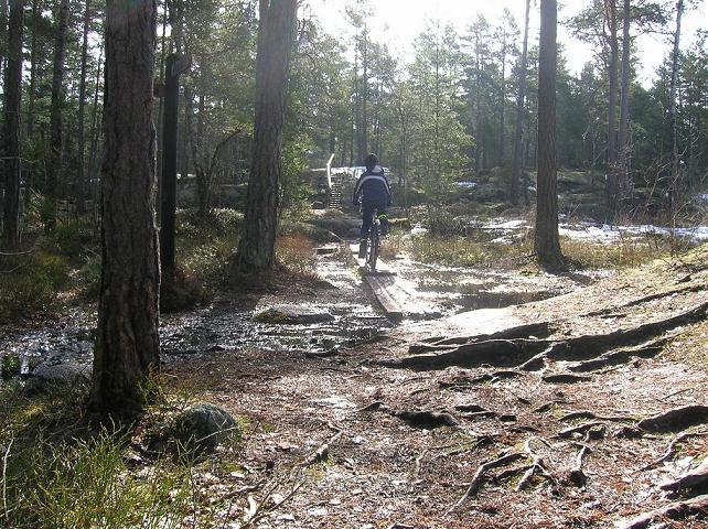 2006-04-15024.jpg