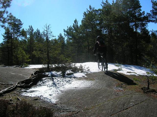 2006-04-15043.jpg
