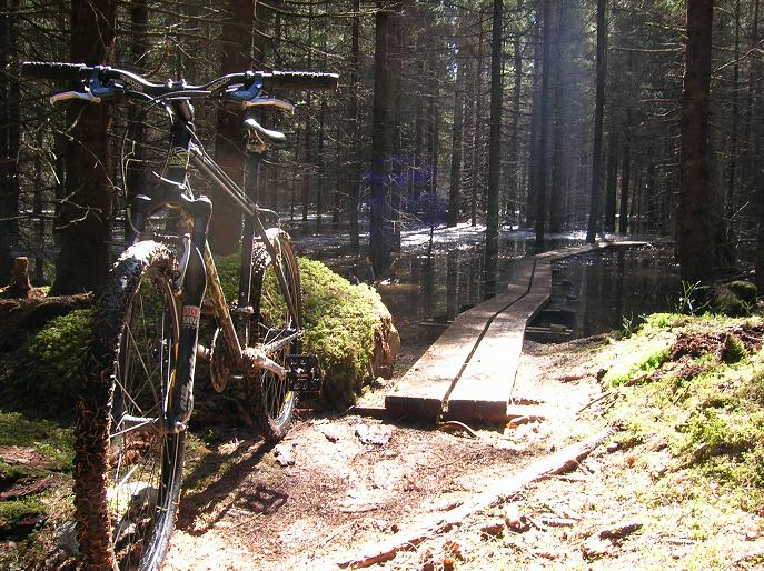 2006-04-19053.jpg