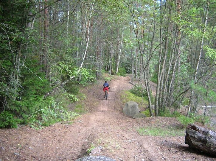 2006-08-27019.jpg ht=543