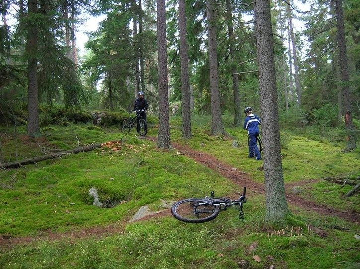 2006-10-14009.jpg ht=542
