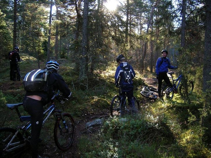 2006-10-28001.jpg ht=542