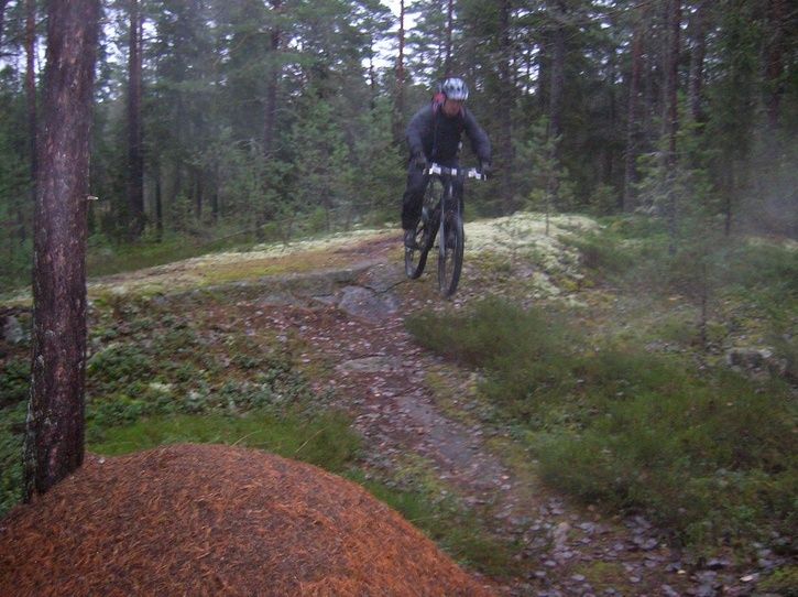 2006-11-12010.jpg ht=542